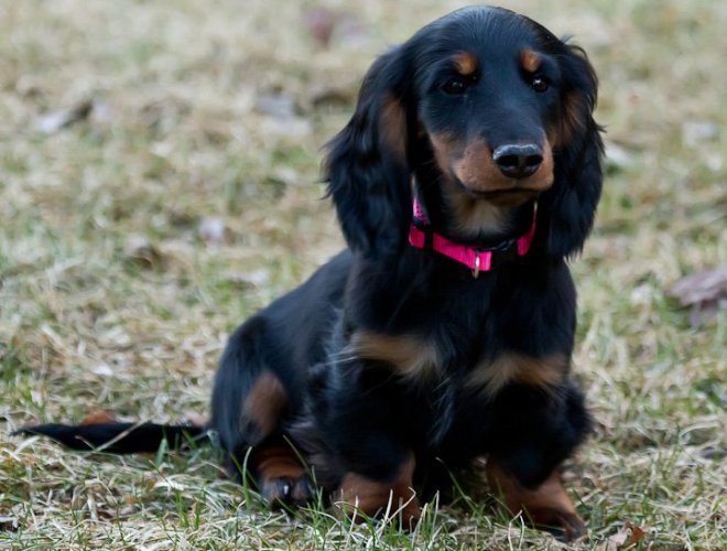 Viktor 3 måneder gammel